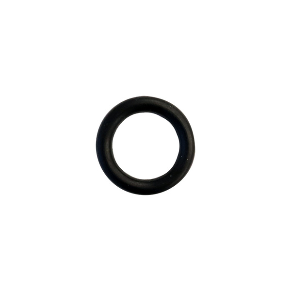 N2 NIPPLE O-RING (THIN)