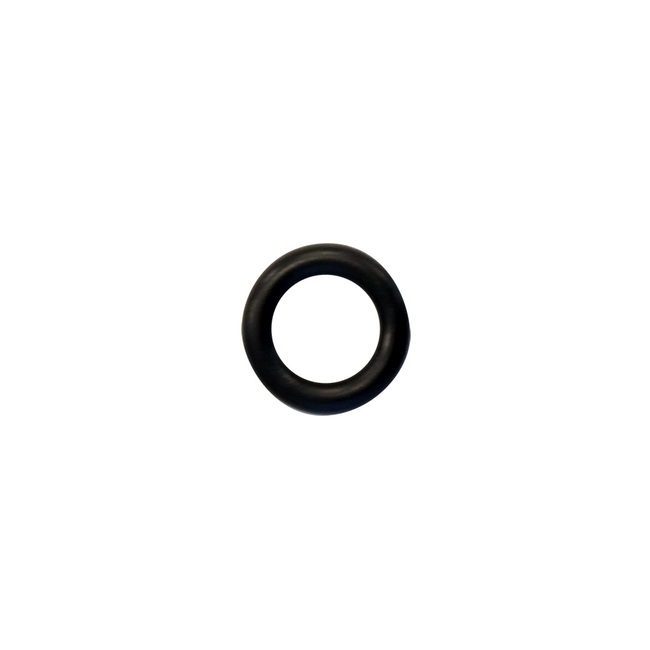 N2 NIPPLE O-RING (THICK)