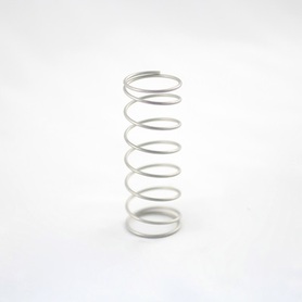 BRONCO PUMP PISTON SPRING